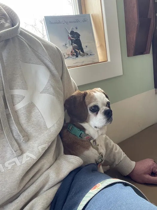 York Animal Hospital 7