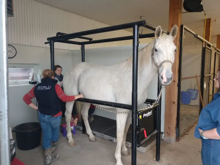 Henderson Equine Clinic 2