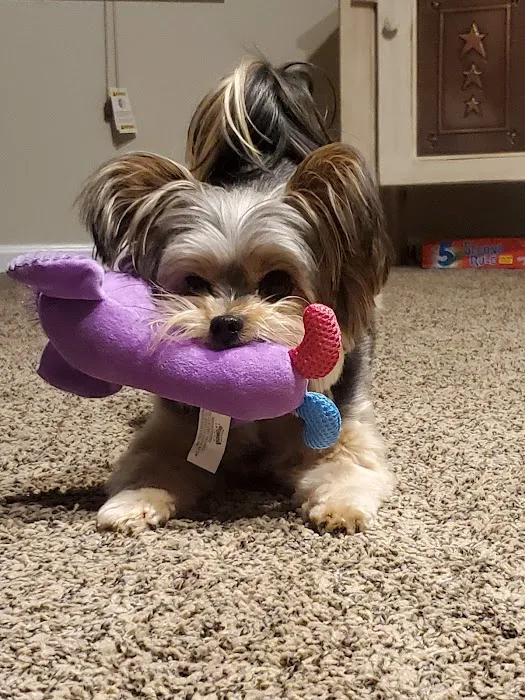 Leroy Animal Clinic 9