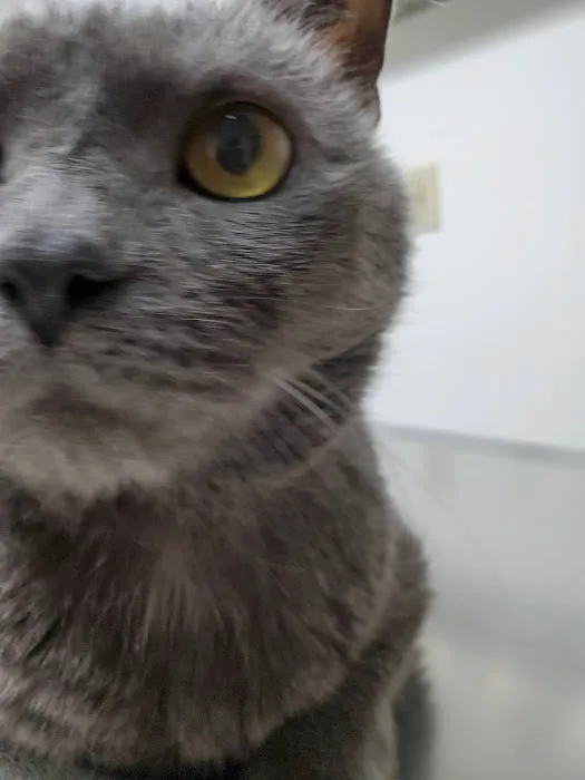 Leroy Animal Clinic 8
