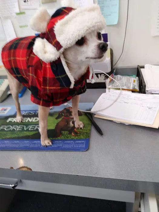 Leroy Animal Clinic 5