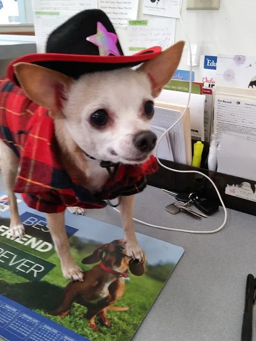 Leroy Animal Clinic 10