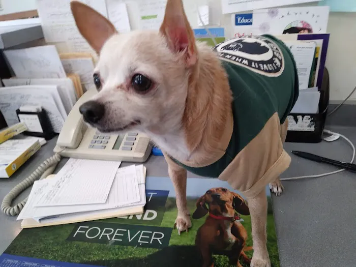Leroy Animal Clinic 6