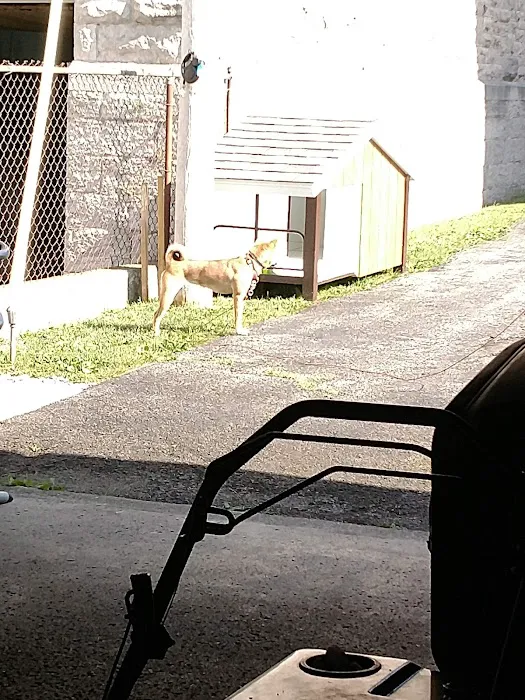 Leroy Animal Clinic 4