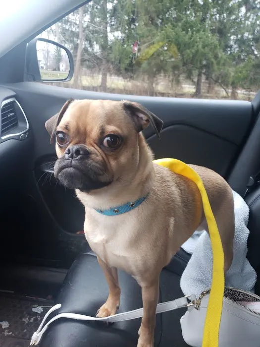 Dr Nathan's Veterinary Clinic 6