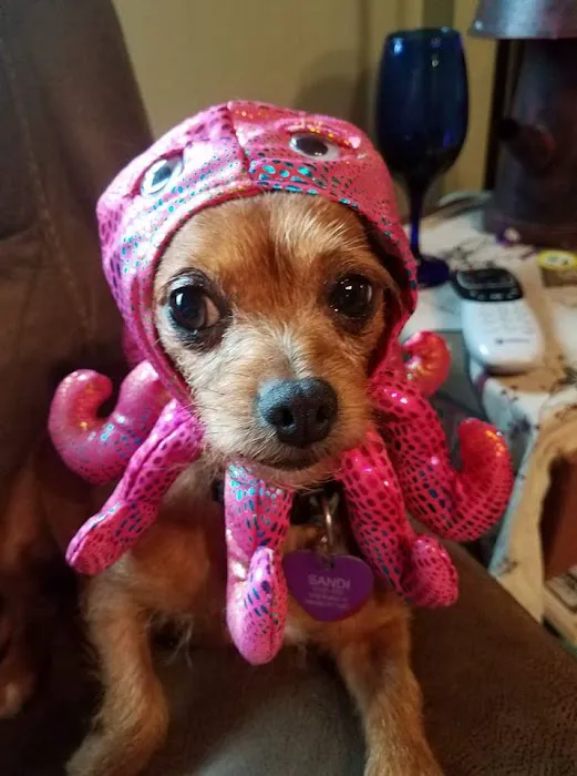 Avon Animal Hospital 8
