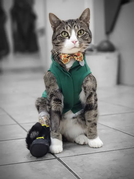 Avon Animal Hospital 1