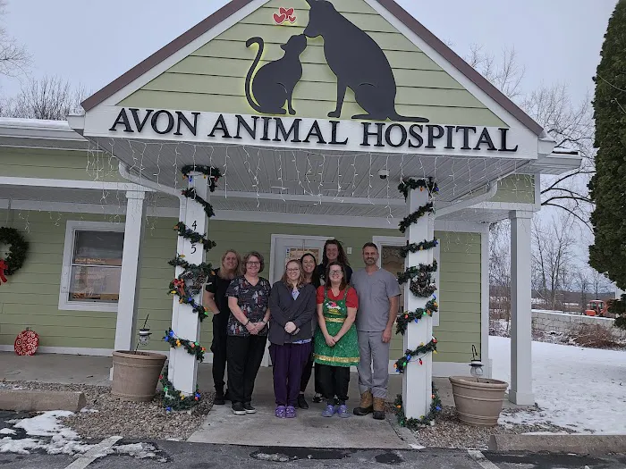 Avon Animal Hospital 10
