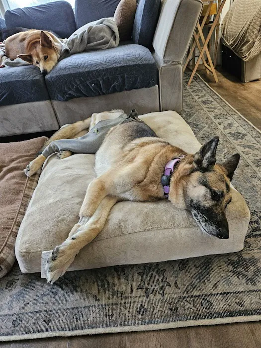Avon Animal Hospital 9