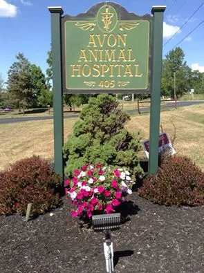 Avon Animal Hospital 4