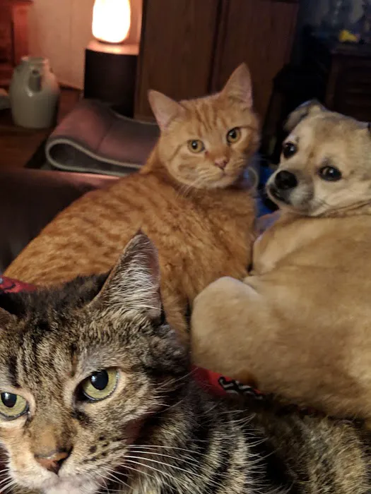 Steuben Veterinary Clinic 3