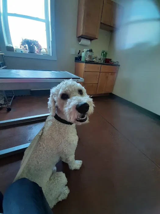Lima Veterinary Center 8