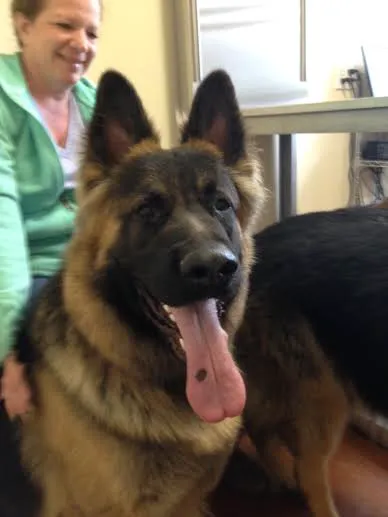 Lima Veterinary Center 4
