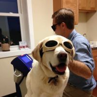 Lima Veterinary Center ico