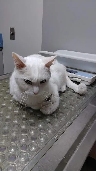 Honeoye Falls Veterinary Hospital 9