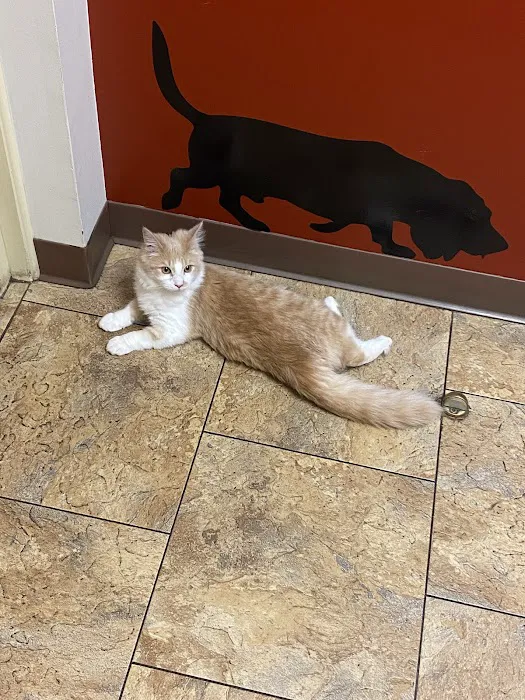 Honeoye Falls Veterinary Hospital 8