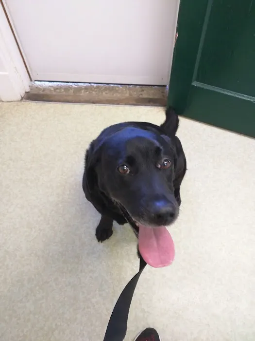 Pine Haven Veterinarian Clinic 2