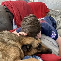 Pine Haven Veterinarian Clinic ico