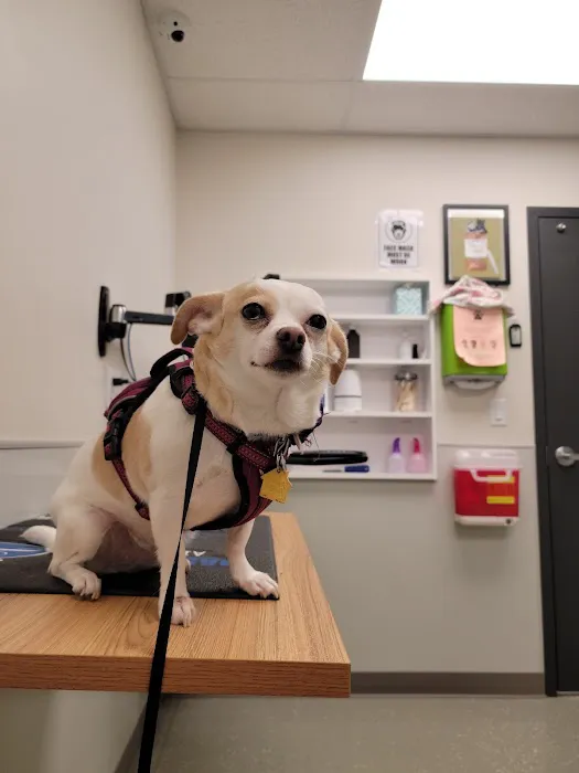 West Side Pet Clinic 3