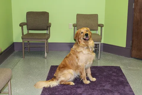 West Side Pet Clinic 8