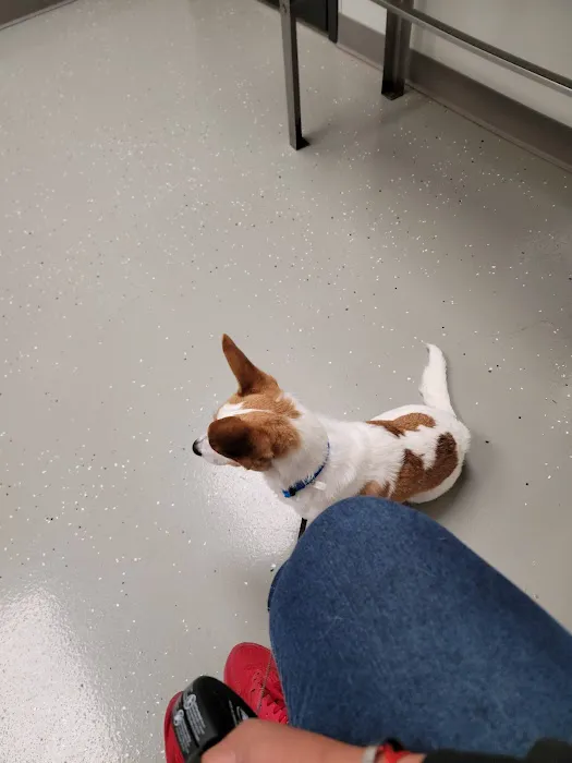 West Side Pet Clinic 5