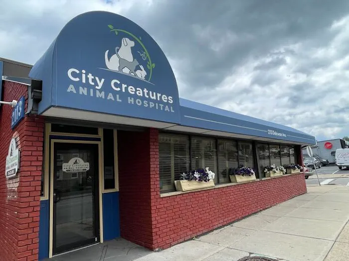 City Creatures Animal Hospital 1