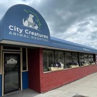 City Creatures Animal Hospital ico