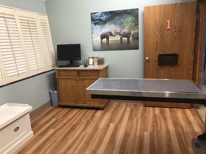 City Creatures Animal Hospital 3
