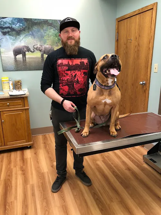City Creatures Animal Hospital 10