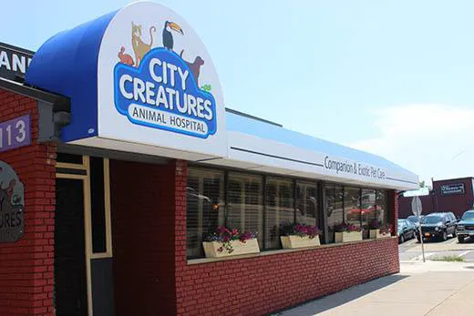 City Creatures Animal Hospital 9