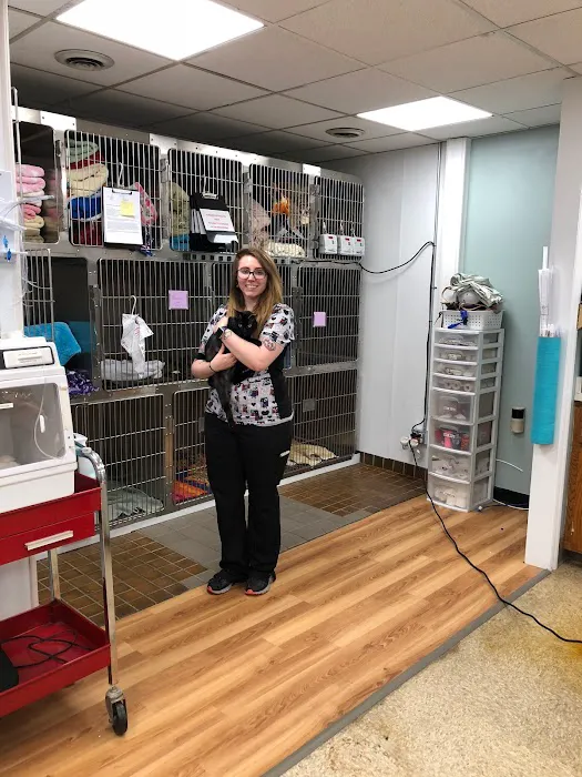 City Creatures Animal Hospital 4