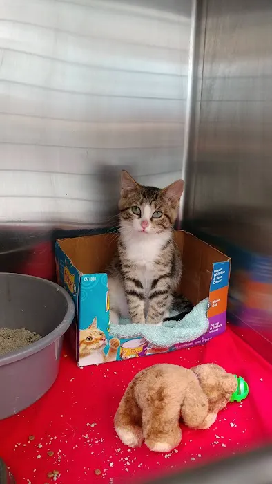 Central Park Animal Hospital 1