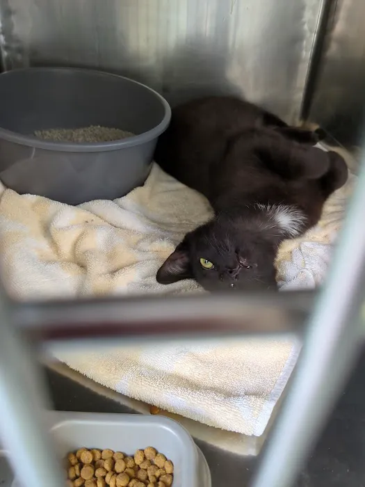 Central Park Animal Hospital 4