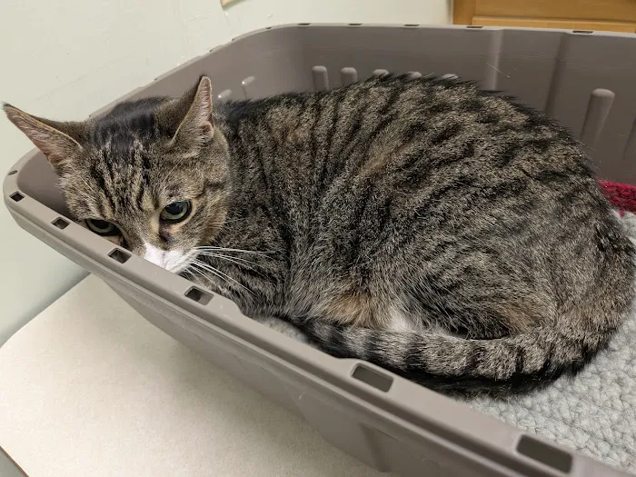 Central Park Animal Hospital 8