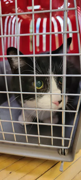 Central Park Animal Hospital 9