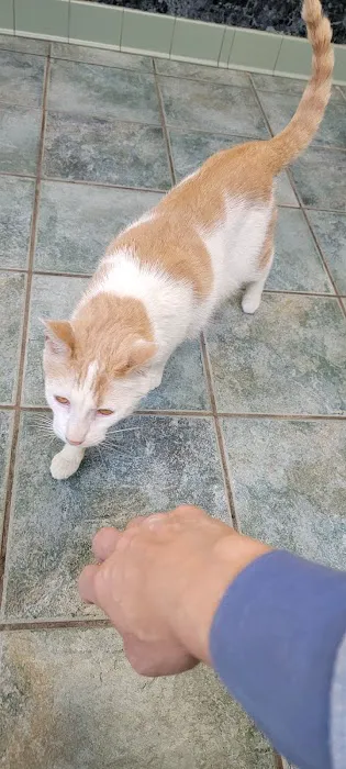 Central Park Animal Hospital 3