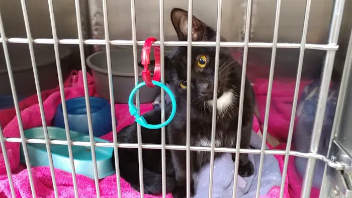 Central Park Animal Hospital 6