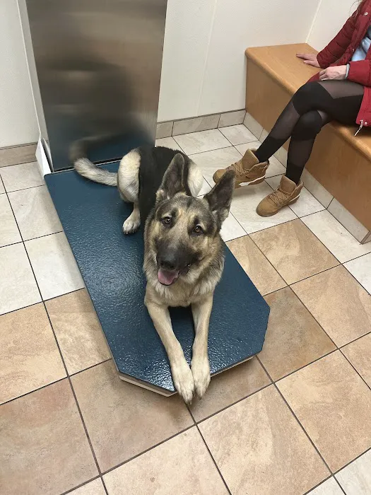 North Buffalo Animal Hospital 4