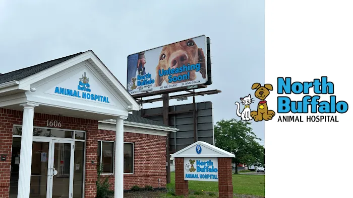 North Buffalo Animal Hospital 7