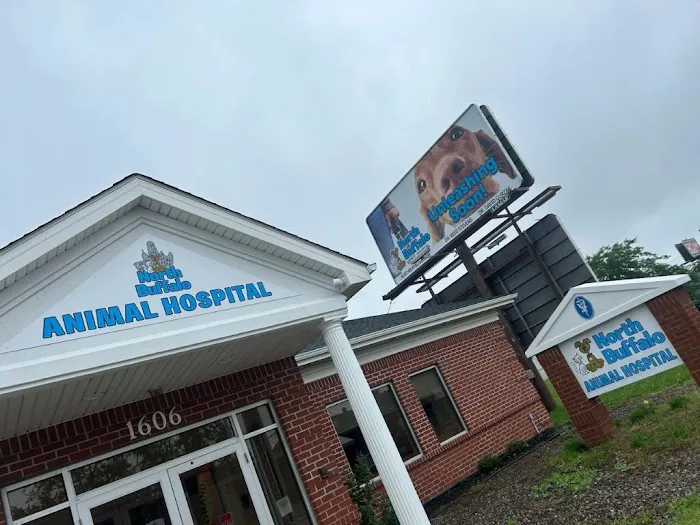 North Buffalo Animal Hospital 1