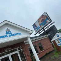 North Buffalo Animal Hospital ico