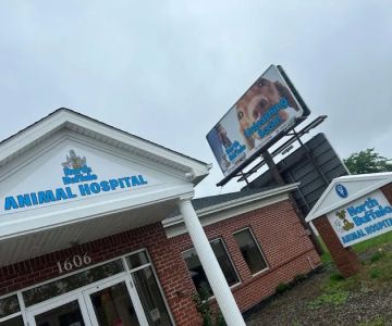 North Buffalo Animal Hospital
