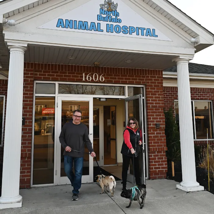 North Buffalo Animal Hospital 9