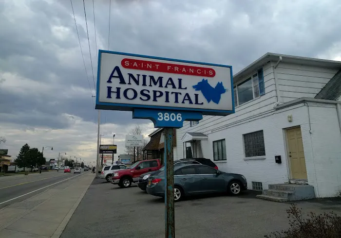 St Francis Animal Hospital: Parisi Joseph M DVM 9