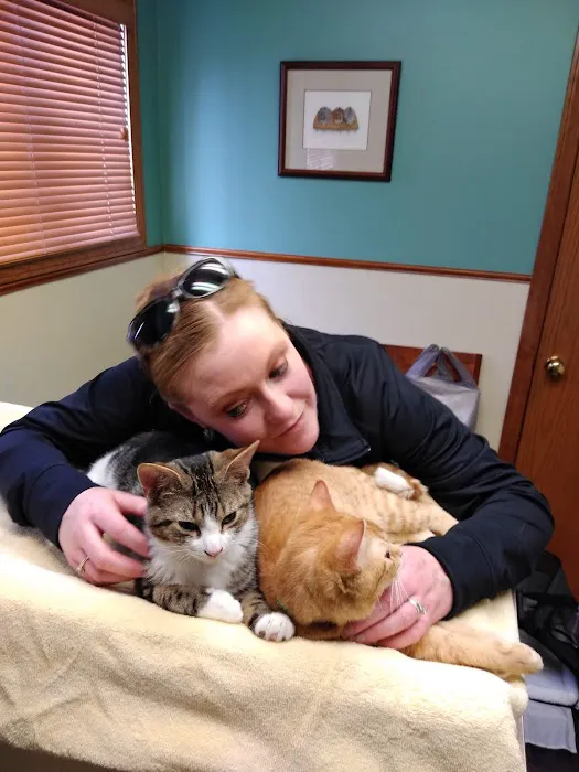 Amherst Small Animal Hospital 6