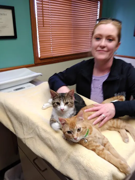 Amherst Small Animal Hospital 2