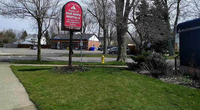 the Animal Pain Management Center 1