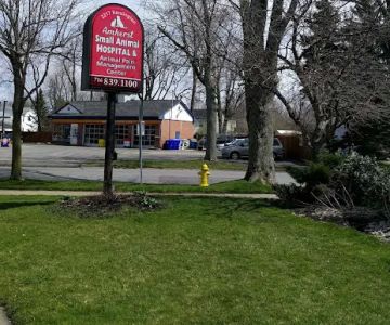 the Animal Pain Management Center