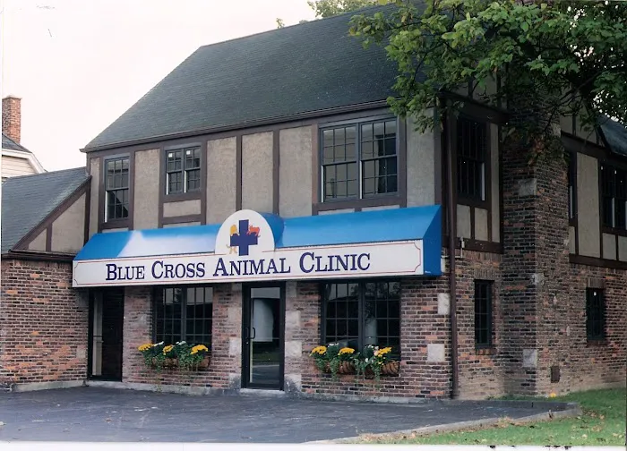 VCA Blue Cross Animal Hospital of Amherst 9