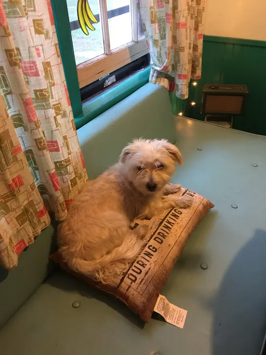 VCA Blue Cross Animal Hospital of Amherst 7